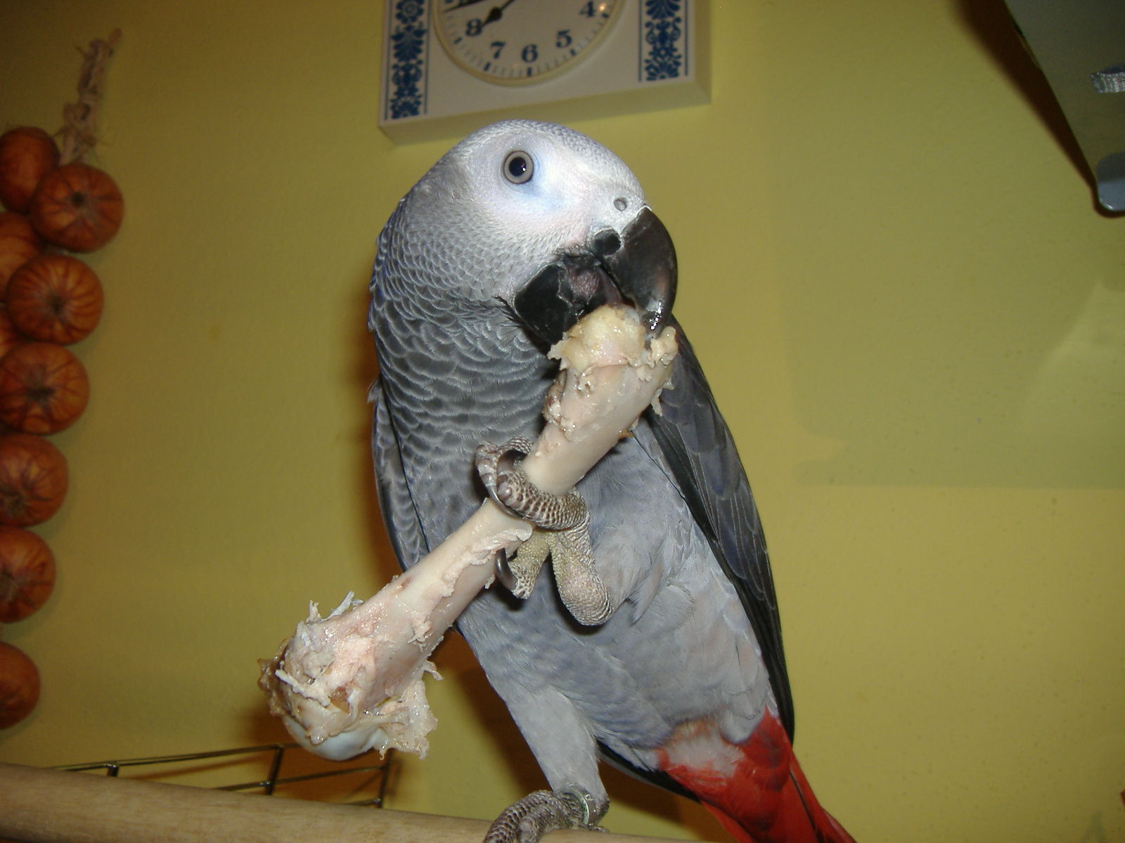 Duben 2008.JPG
