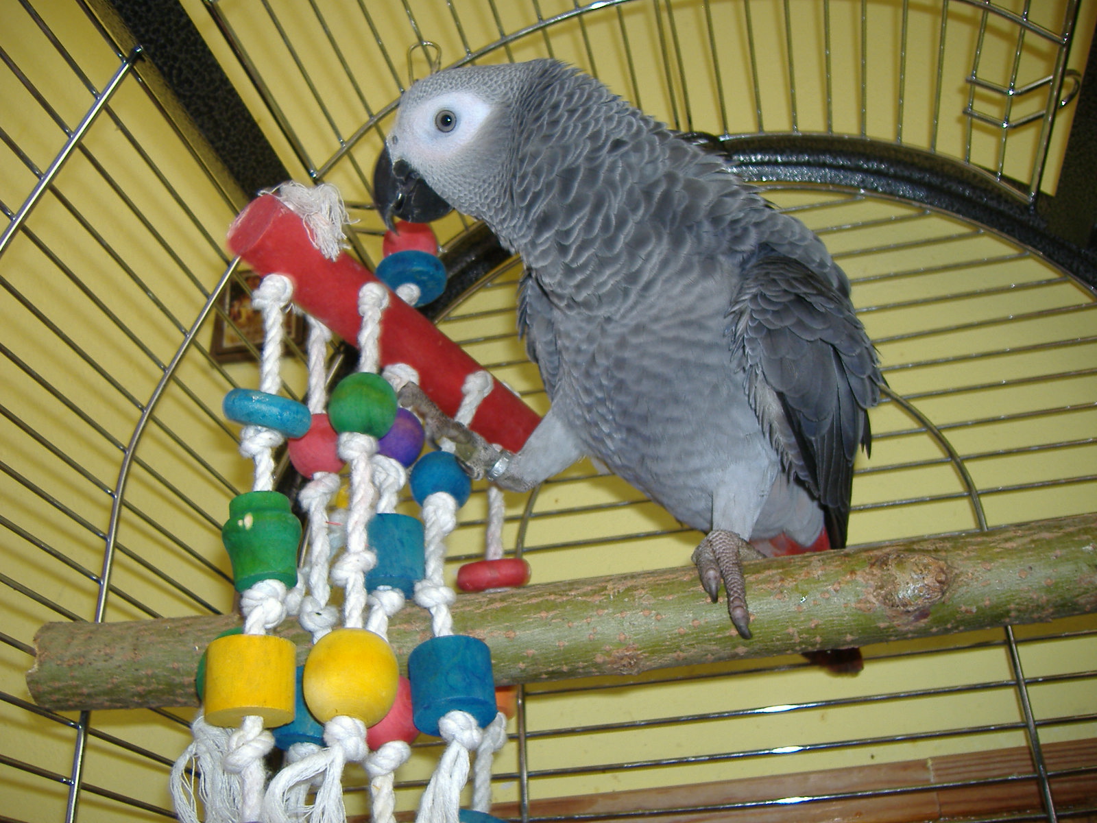 Duben 2008 (3).JPG