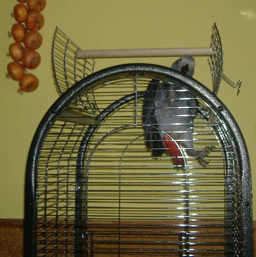 Figi - 2. 12. 2007 (2).JPG